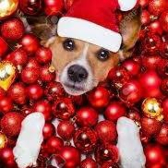 Meet your Posher, Tonya - Picture 1 of 1